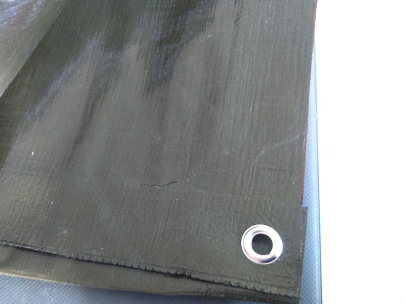 Verde oliva