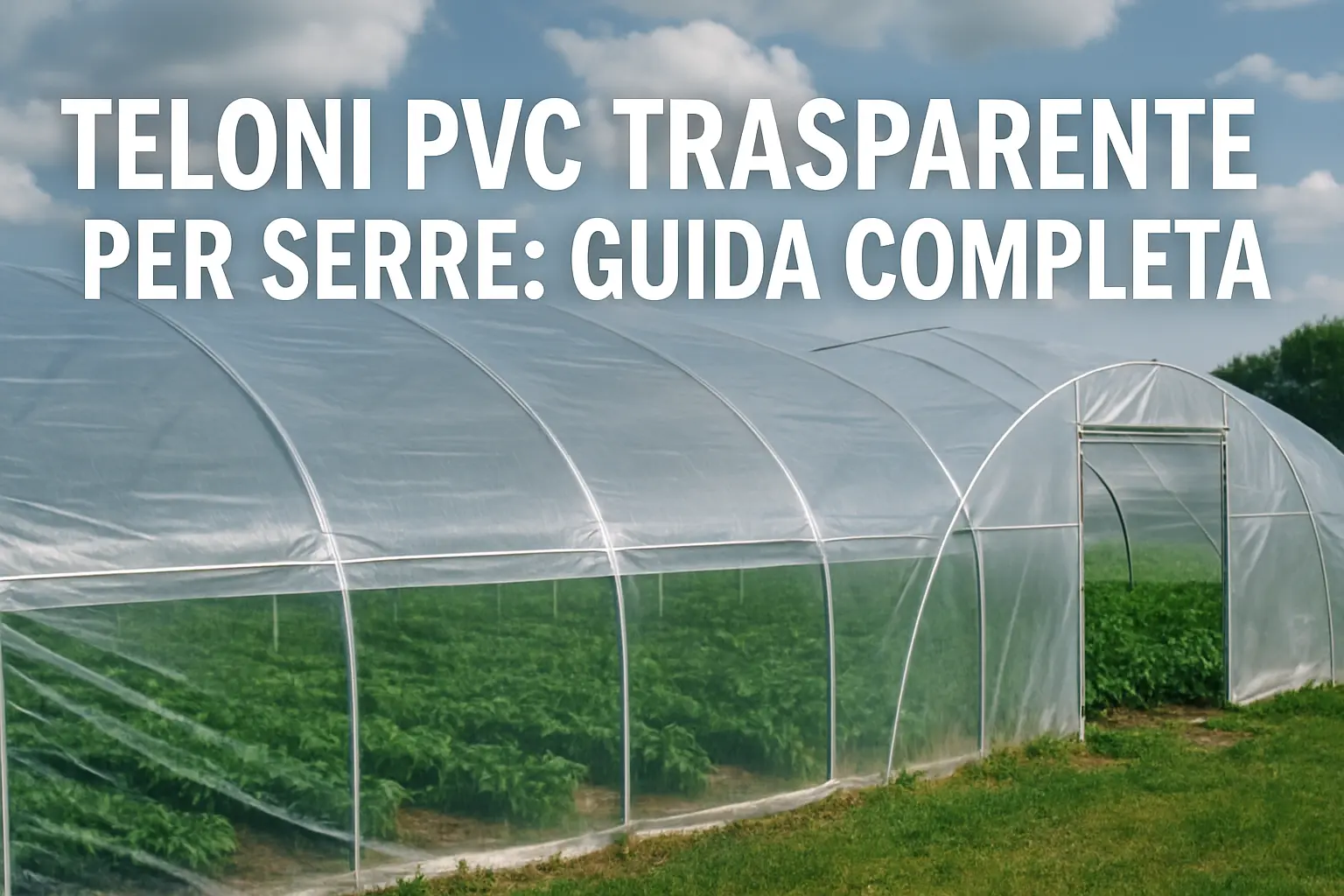teloni-pvc-trasparente-per-serre
